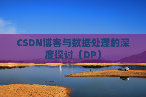 CSDN博客与数据处理的深度探讨（DP）